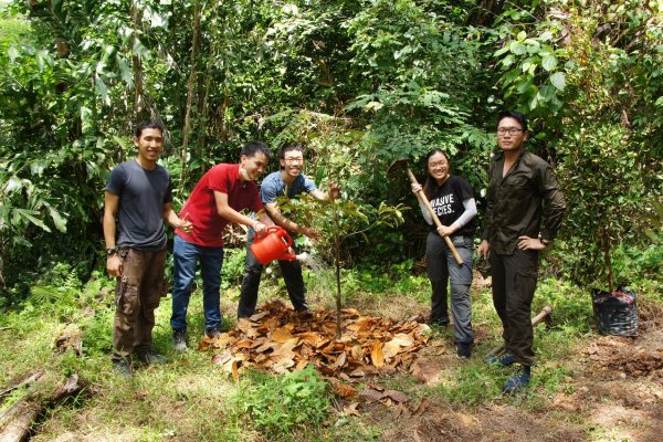 TREE PLANTING GRP